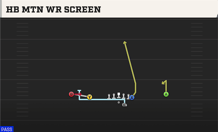 HB MTN WR SCREEN play diagram