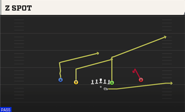 Z SPOT play diagram
