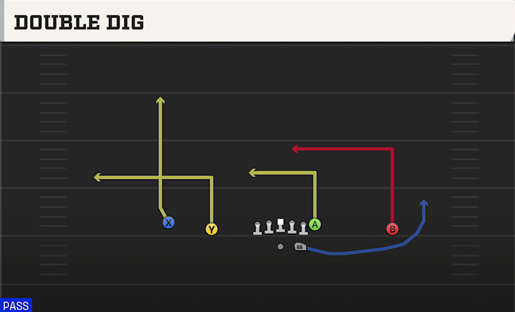 DOUBLE DIG play diagram