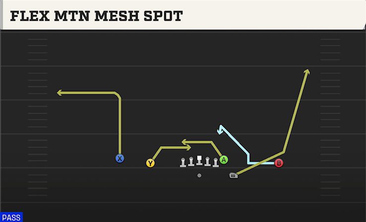 FLEX MTN MESH SPOT play diagram