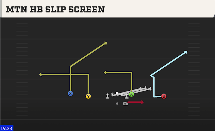MTN HB SLIP SCREEN play diagram