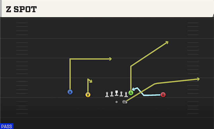 Z SPOT play diagram