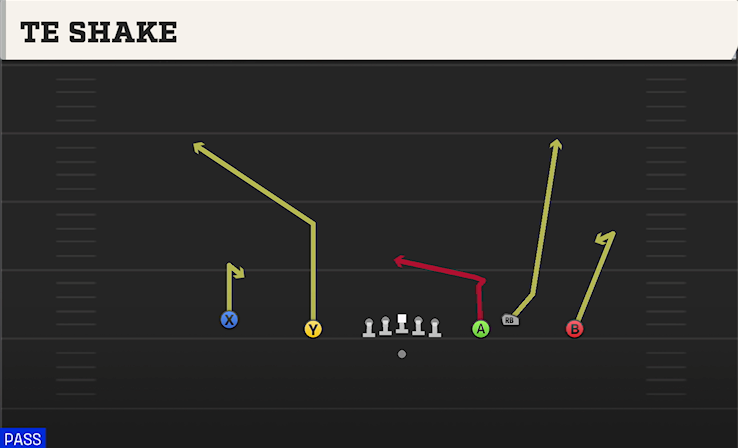 TE SHAKE play diagram