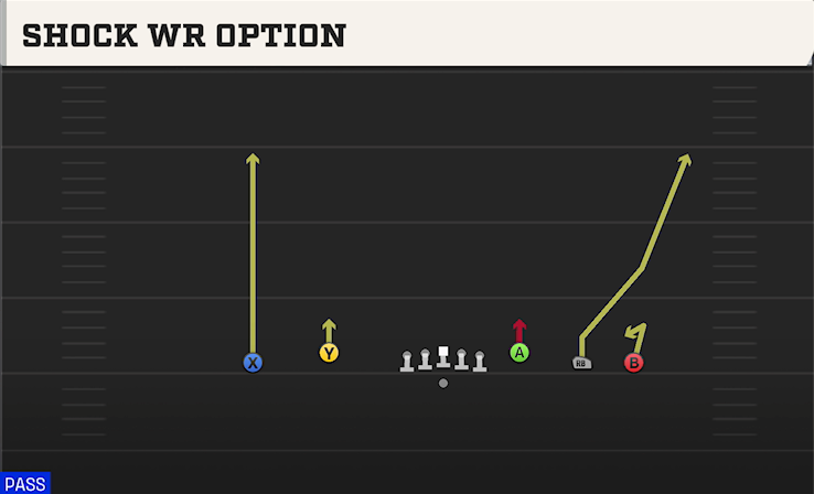 SHOCK WR OPTION play diagram