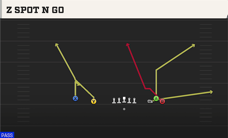 Z SPOT N GO play diagram
