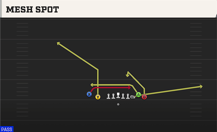 MESH SPOT play diagram