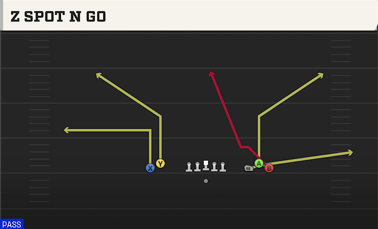 Z SPOT N GO play diagram