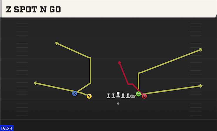 Z SPOT N GO play diagram