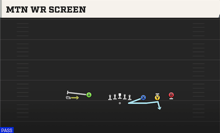 MTN WR SCREEN play diagram