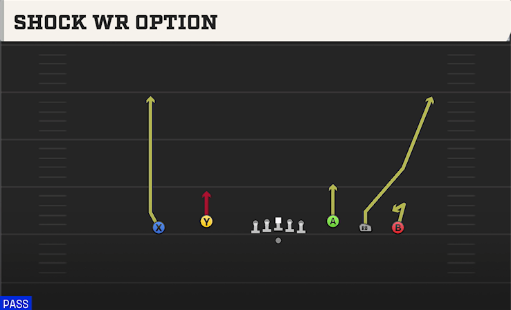 SHOCK WR OPTION play diagram
