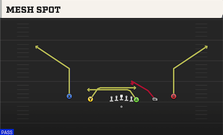 MESH SPOT play diagram