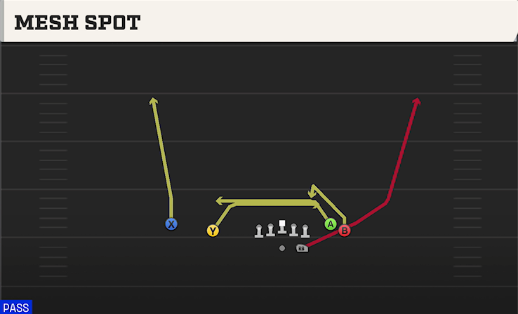 MESH SPOT play diagram