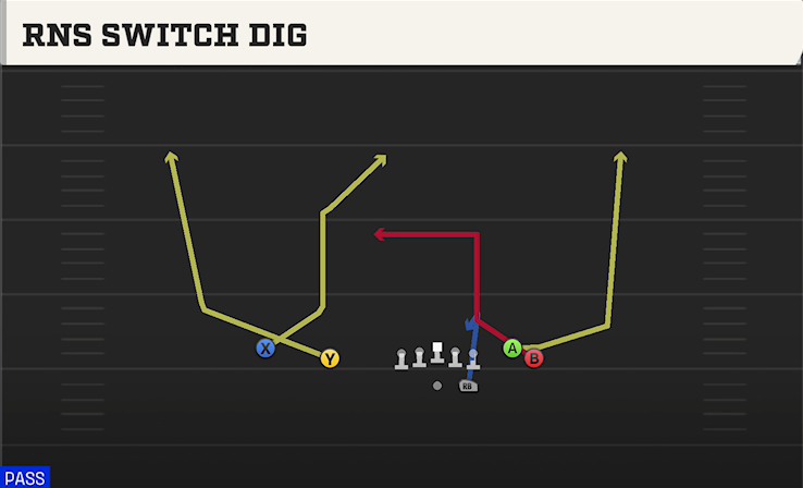 RNS SWITCH DIG play diagram