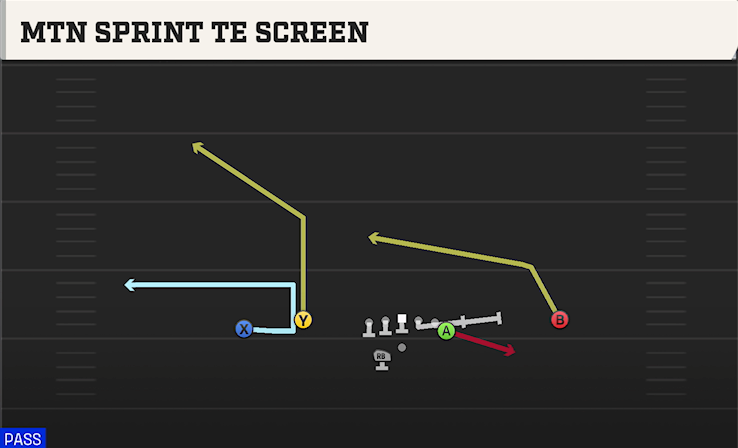 MTN SPRINT TE SCREEN play diagram