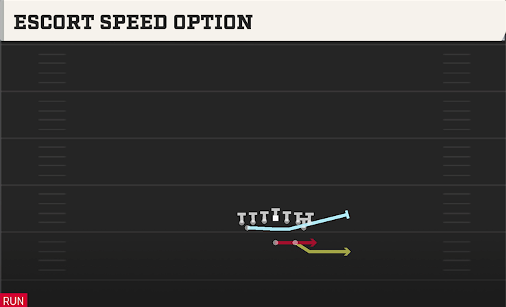 ESCORT SPEED OPTION play diagram