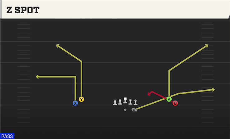 Z SPOT play diagram