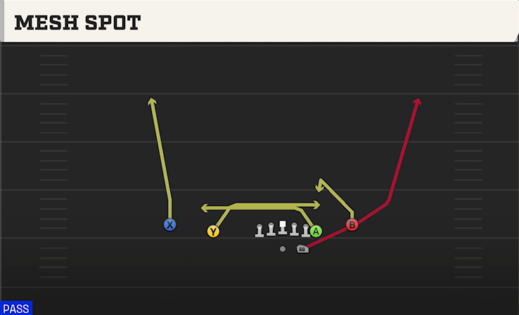 MESH SPOT play diagram