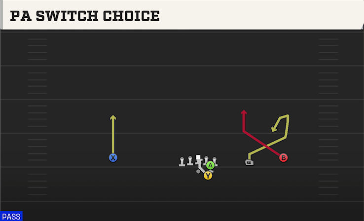 PA SWITCH CHOICE play diagram