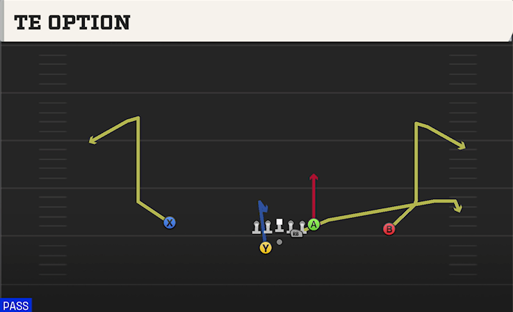 TE OPTION play diagram