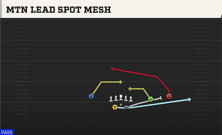 MTN LEAD SPOT MESH play diagram
