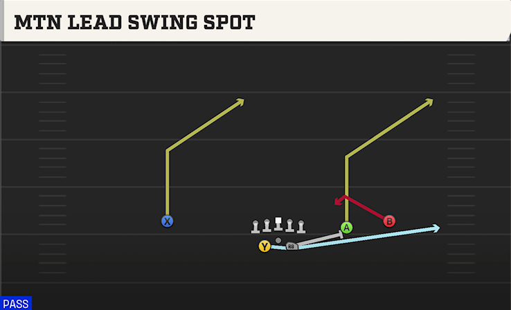 MTN LEAD SWING SPOT play diagram
