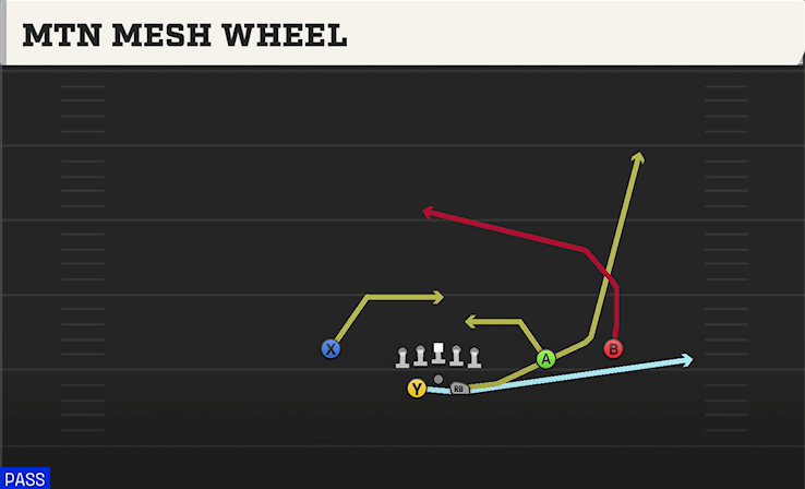 MTN MESH WHEEL play diagram