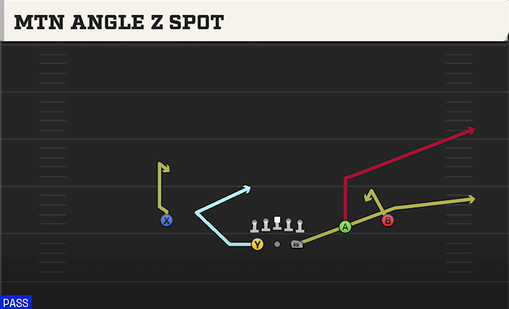 MTN ANGLE Z SPOT play diagram
