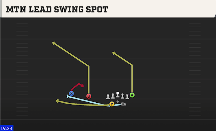 MTN LEAD SWING SPOT play diagram
