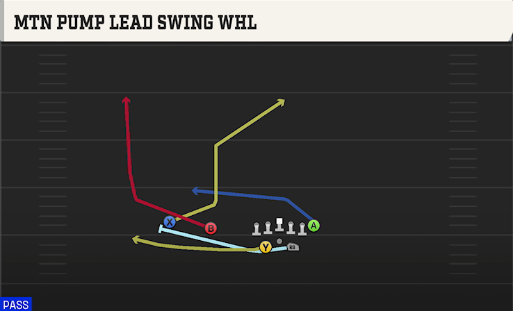 MTN PUMP LEAD SWING WHL play diagram