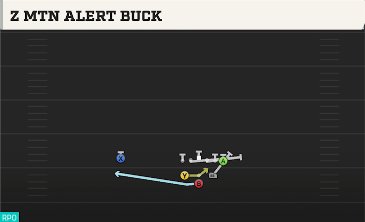 Z MTN ALERT BUCK play diagram