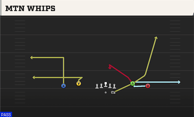 MTN WHIPS play diagram