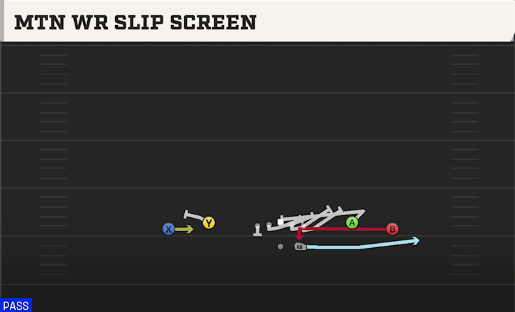 MTN WR SLIP SCREEN play diagram
