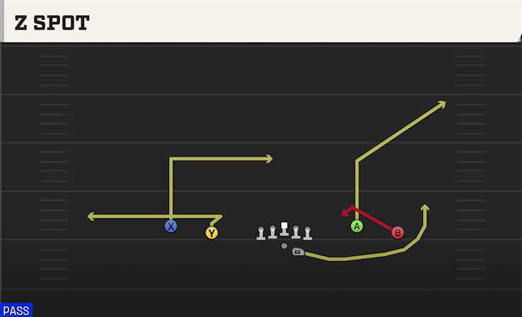 Z SPOT play diagram