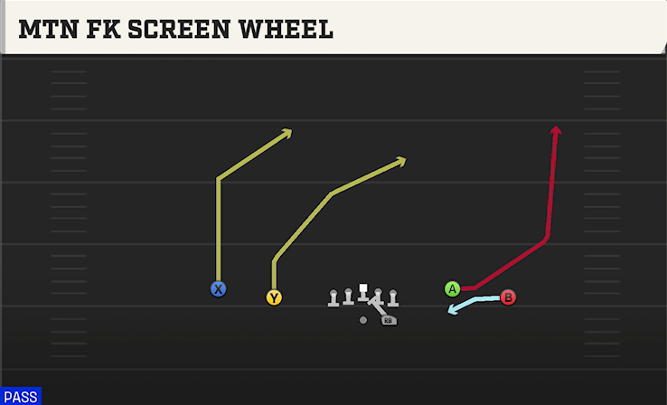 MTN FK SCREEN WHEEL play diagram