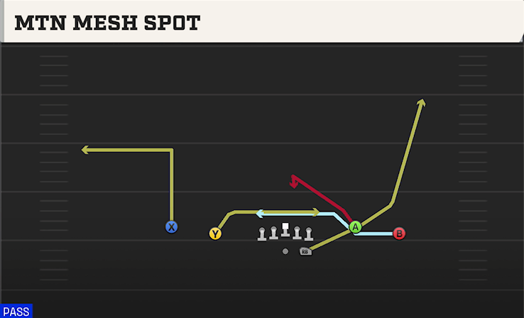 MTN MESH SPOT play diagram