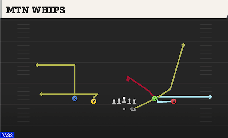 MTN WHIPS play diagram