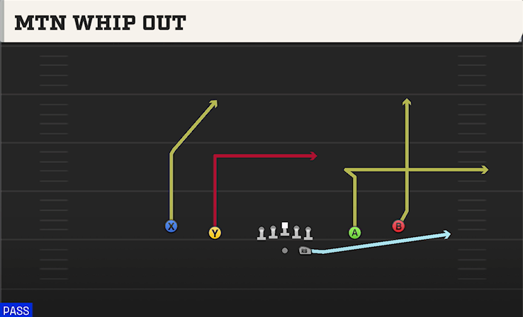 MTN WHIP OUT play diagram