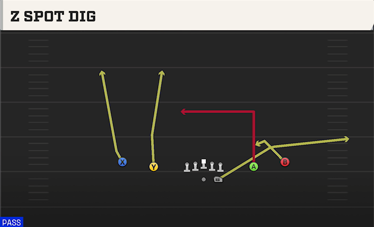 Z SPOT DIG play diagram