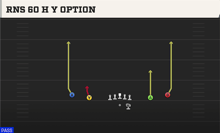 RNS 60 H Y OPTION play diagram