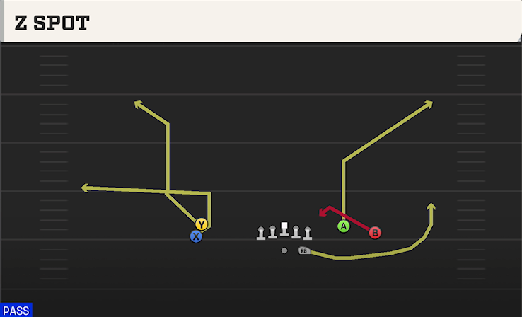 Z SPOT play diagram