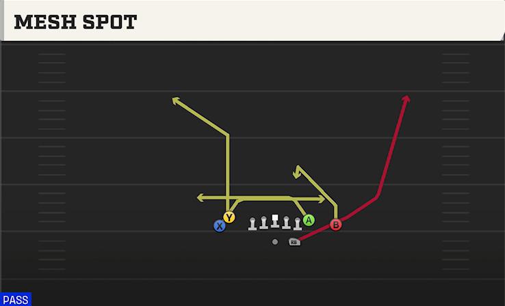 MESH SPOT play diagram