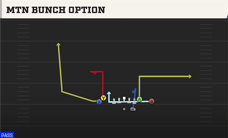 MTN BUNCH OPTION play diagram