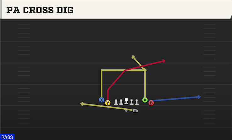 PA CROSS DIG play diagram
