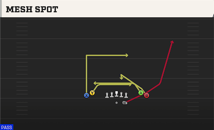 MESH SPOT play diagram