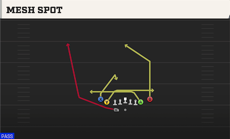MESH SPOT play diagram