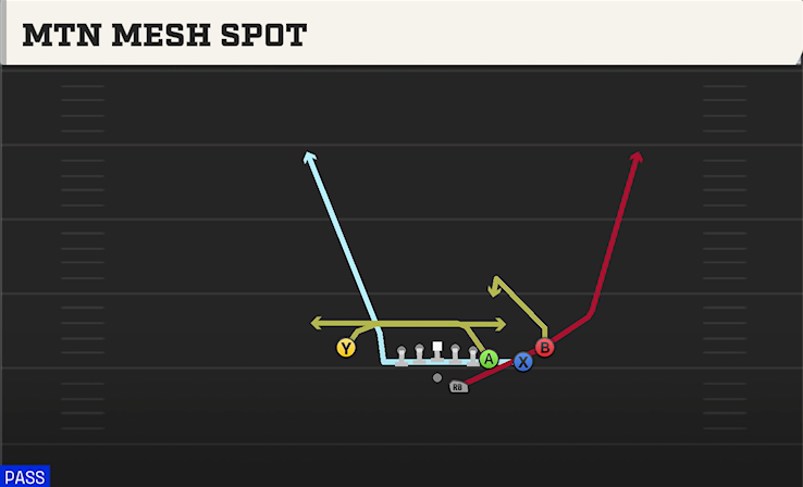 MTN MESH SPOT play diagram