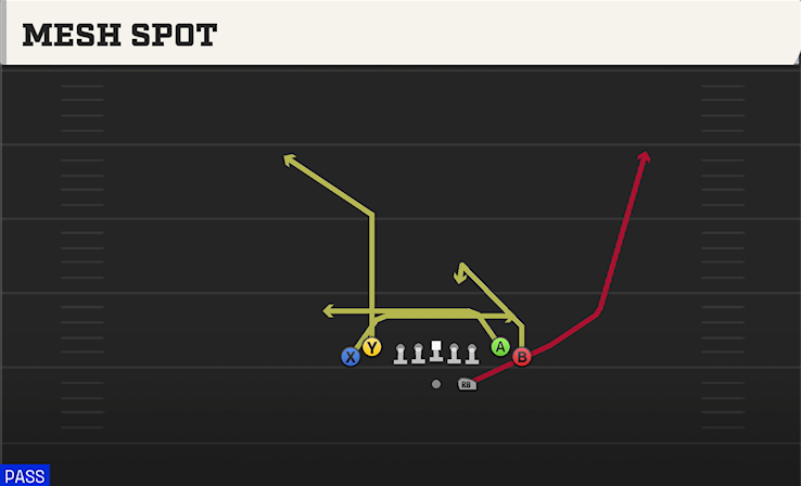 MESH SPOT play diagram