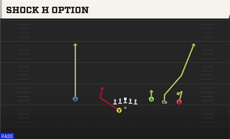 SHOCK H OPTION play diagram