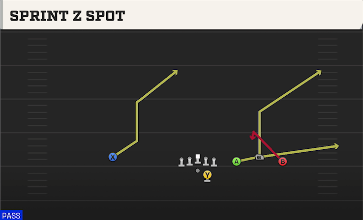 SPRINT Z SPOT play diagram