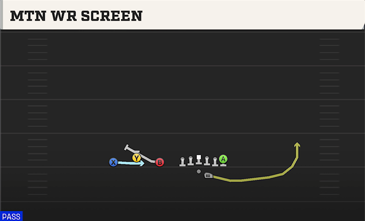 MTN WR SCREEN play diagram